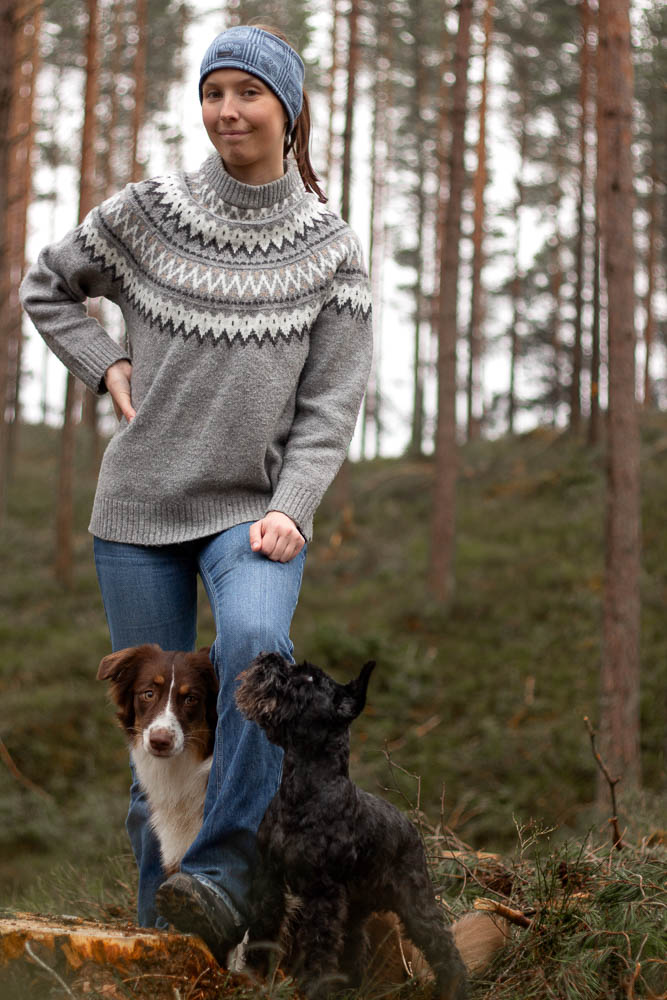 A portrait of dogs in obedience training.